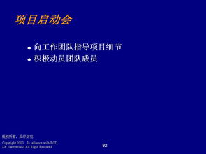德勤管理咨詢 程序、技能與ERP100企業信息化知識門戶